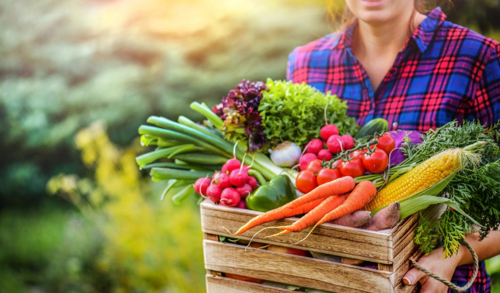 Αγρότες: Να διασφαλιστεί η διαθεσιμότητα τροφίμων στην Ευρώπη σε λογικές τιμές