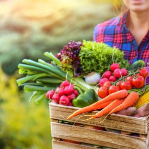 Αγρότες: Να διασφαλιστεί η διαθεσιμότητα τροφίμων στην Ευρώπη σε λογικές τιμές