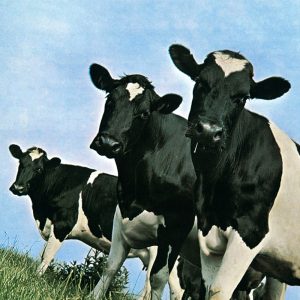 Τραμπ: Διατάζει εξεύρεση τρόπου μείωσης των τιμών βοείου κρέατος