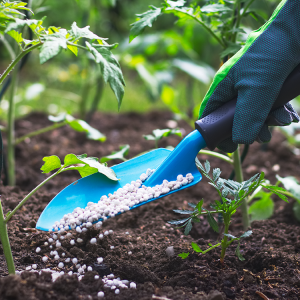Λιπάσματα: Δίμηνη επιδότηση στο 15% του κόστους παραστατικών αγοράς για τους αγρότες