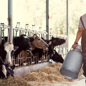 ΕΕ: Συστάσεις για λιγότερο κρέας και κατάργηση των επιδοτήσεων της ΚΑΠ για την κτηνοτροφία