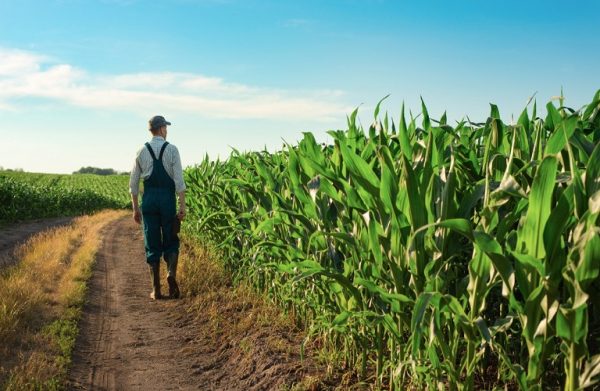 Reuters: Greek Farmers Use Illegal Chinese Pesticides