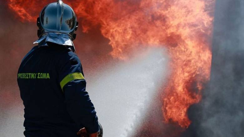 WWF: August Fire Damage in Greece Already Above 20-yr Average