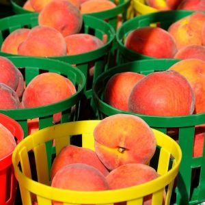 Αγροτικά προϊόντα: Ετοιμάζονται νέοι φάκελοι στη Δυτ. Μακεδονία για ένταξη στα ΠΟΠ/ΠΓΕ