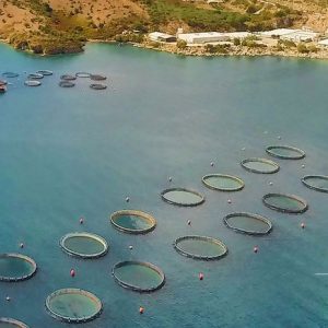 Avramar: Νέα εποχή με την Aqua Bridge – Το σχέδιο διάσωσης και η μεγάλη αναδιάρθρωση