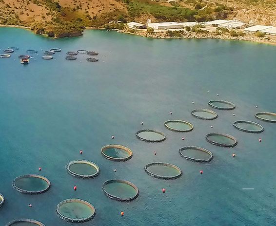 Avramar: Νέα εποχή με την Aqua Bridge – Το σχέδιο διάσωσης και η μεγάλη αναδιάρθρωση