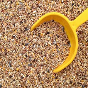 Ευλογιά προβάτων: Επιπλέον 21 εκατ. για ζωοτροφές