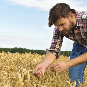 ΕΟΚΕ: Στρατηγική για την ανανέωση των γενεών στη γεωργία