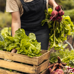 Ταμείο Ανάκαμψης: Παρατείνονται επενδυτικά σχέδια για τον πρωτογενή τομέα