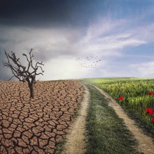 Κλίμα: «Χαμηλή» η κλιματική πολιτική στην Ελλάδα – Βουτιά 8 θέσεων στον δείκτη CCPI