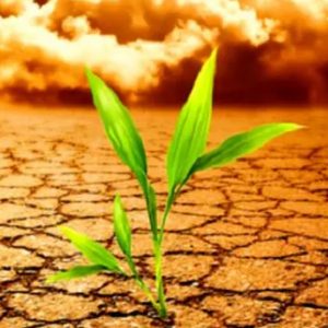 ΕΕ: Το παζάρι για τον κλιματικό στόχο με ορίζοντα τον Σεπτέμβριο