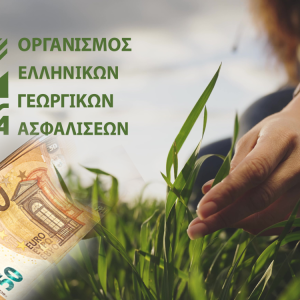 ΕΛΓΑ: Αποζημιώσεις ύψους 13,8 εκατ. ευρώ – Οι δικαιούχοι