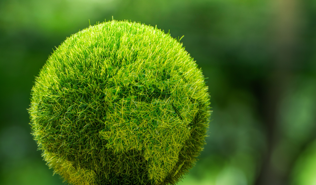 The “Hidden Cost” of the Green Transition