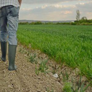 Greek Rural Development Min. Calls for Resignation of OPEKEPE Head
