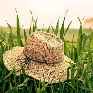 ΚΑΠ: Η Ελλάδα στη νέα διαπραγμάτευση για μετά το 2027