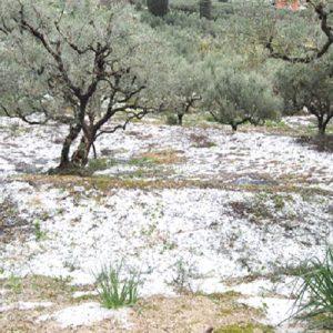Αγρότες: Ζητούν να σηκωθεί το αεροπλάνο της χαλαζικής προστασίας σε Πέλλα – Ημαθία