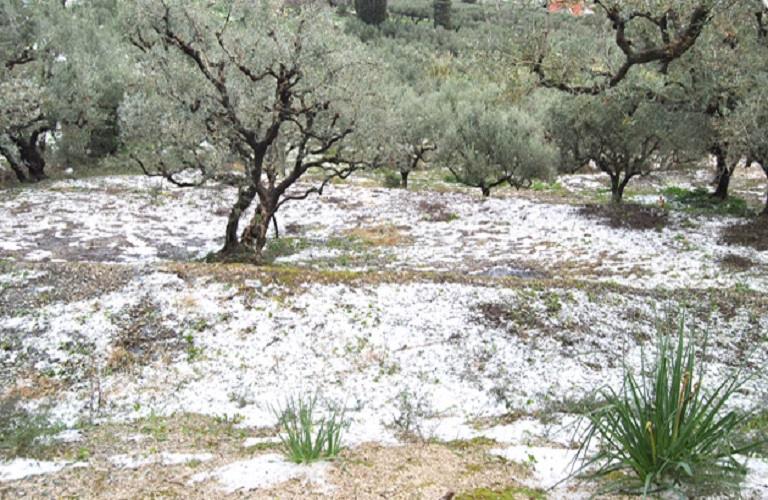 Αγρότες: Ζητούν να σηκωθεί το αεροπλάνο της χαλαζικής προστασίας σε Πέλλα – Ημαθία