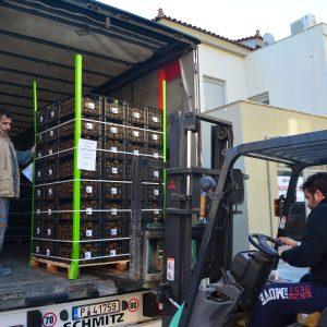 Ανεργία: Τρίτη η Ελλάδα σε όλη την ΕΕ – 1 στους 4 νέους χωρίς δουλειά τον Μάρτιο