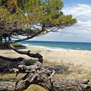 Time Out: Greek Lagoon Beach Best in Europe for 2025
