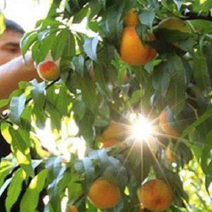 Κομφούζιο: Αναρτήθηκαν οι πρώτοι πίνακες – Στα 121,21 εκατ. ευρώ ο προϋπολογισμός