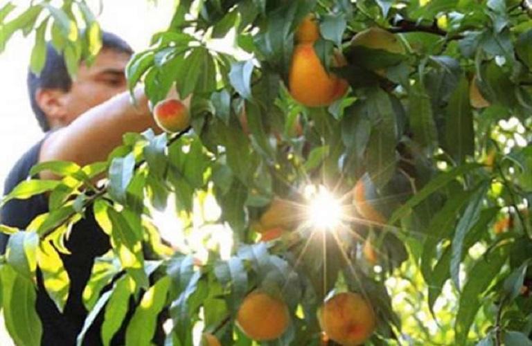 Κομφούζιο: Αναρτήθηκαν οι πρώτοι πίνακες – Στα 121,21 εκατ. ευρώ ο προϋπολογισμός