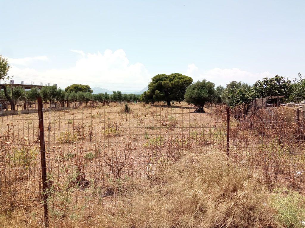 Κατσαφάδος: Ερχονται ποινές για δήμους που δεν καθαρίζουν οικόπεδα
