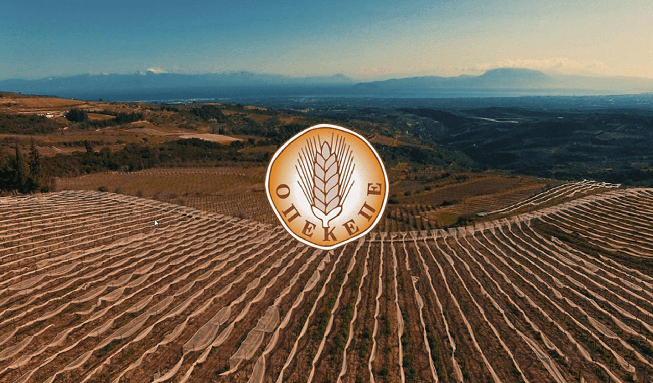 ΟΠΕΚΕΠΕ: Πληρωμές 104,3 εκ. ευρώ για το υπόλοιπο των συνδεδεμένων ενισχύσεων