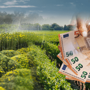 ΚΑΠ: Ευρωπαϊκό «όχι» στο ενιαίο ταμείο – Ζητείται αύξηση των κονδυλίων