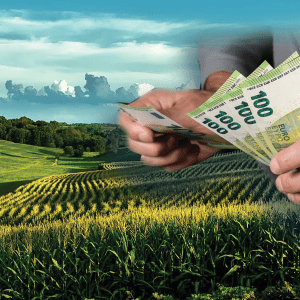 Συντάξεις: Τι σημαίνει η «αναγνώριση» εννέα ετών πρόσθετης ασφάλισης στον ΟΓΑ