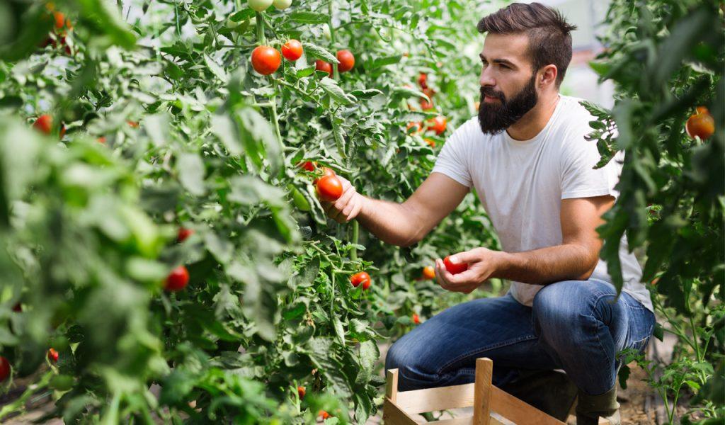 ΚΑΠ: Στο επίκεντρο των συζητήσεων η ενδιάμεση αναθεώρηση