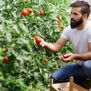 ΚΑΠ: Στο επίκεντρο των συζητήσεων η ενδιάμεση αναθεώρηση