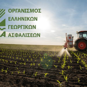 ΕΛΓΑ: Παράταση εισφοράς και επιτάχυνση αποζημιώσεων – Τι προβλέπει τροπολογία