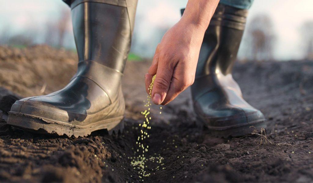 Βιολογική γεωργία: Ξεκίνησαν οι αιτήσεις για τα βραβεία της ΕΕ 2026