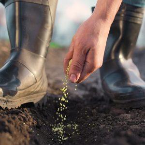 Βιολογική γεωργία: Ξεκίνησαν οι αιτήσεις για τα βραβεία της ΕΕ 2026