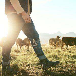 ΕΕ: Στο επίκεντρο η κτηνοτροφία – Έκκληση για στήριξη από τους ευρωβουλευτές