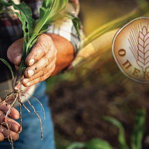Greek Farming Scandal – Gov. to Transfer Funding Power to Tax Authority