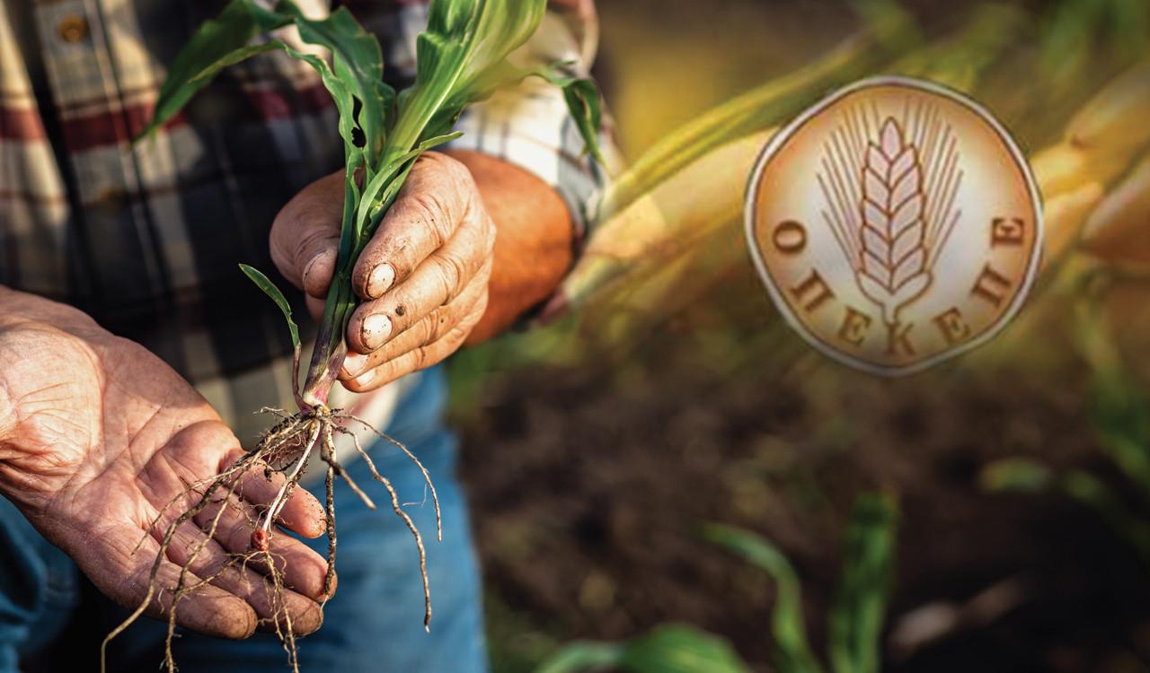 Greek Farming Scandal – Gov. to Transfer Funding Power to Tax Authority