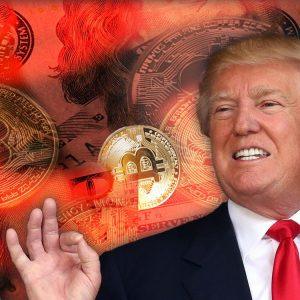 Κρυπτονομίσματα: Οι επενδυτές crypto που θα δειπνήσουν με τον Τραμπ έβγαλαν μεγάλα κέρδη