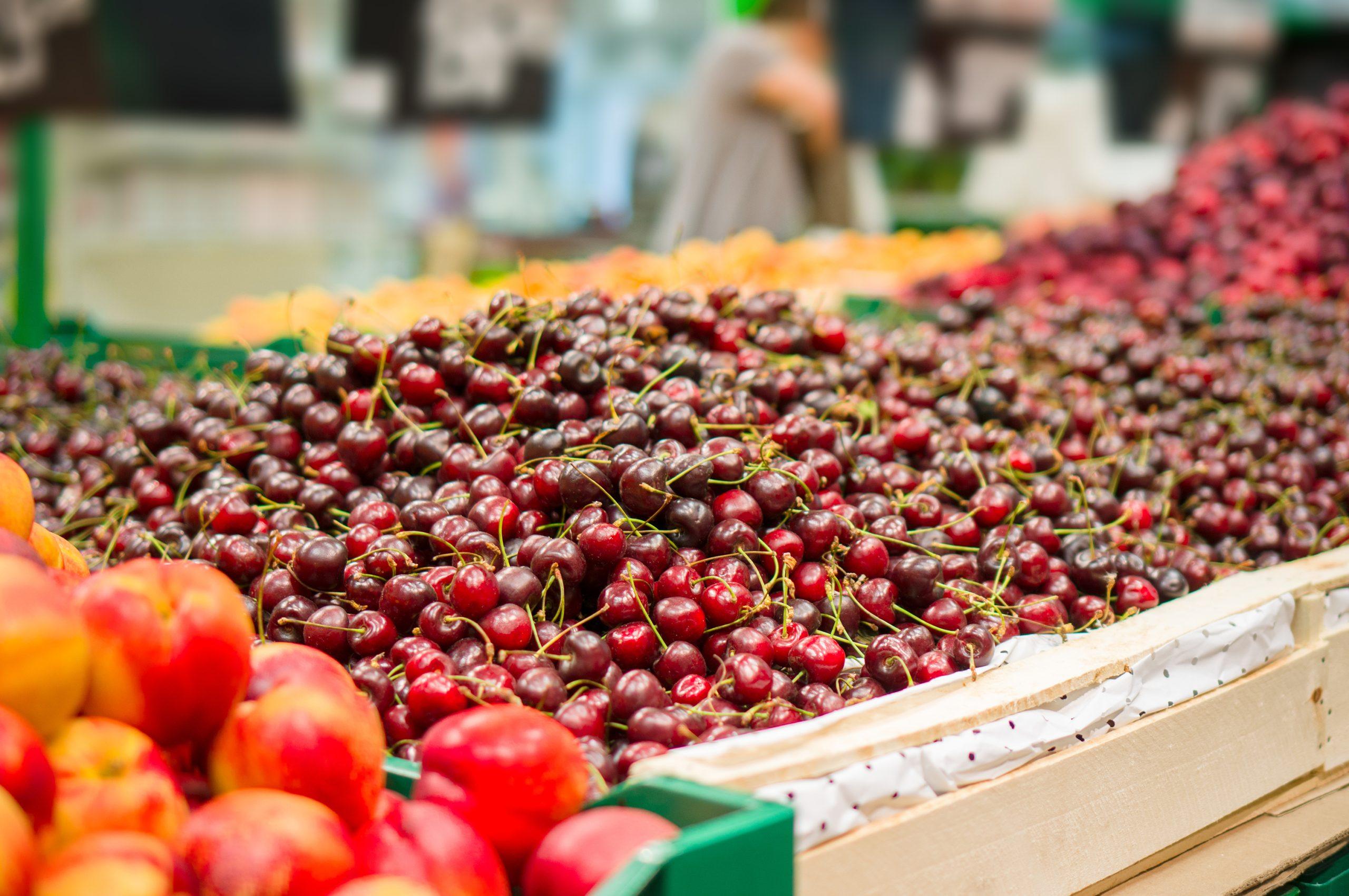 Greek Cherry Harvest Devastated by Weather; Prices Skyrocket