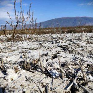 Θεσσαλία: Δωρεάν παροχή αναλύσεων εδάφους στους πληγέντες παραγωγούς