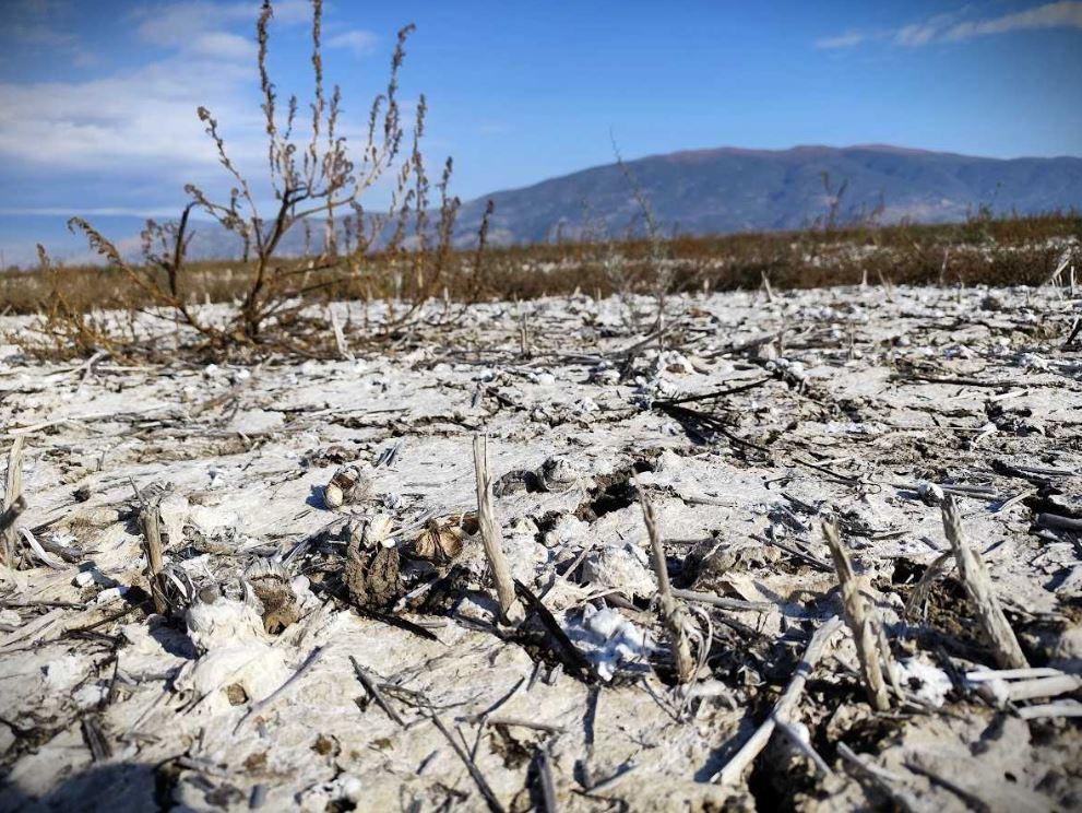 Θεσσαλία: Δωρεάν παροχή αναλύσεων εδάφους στους πληγέντες παραγωγούς