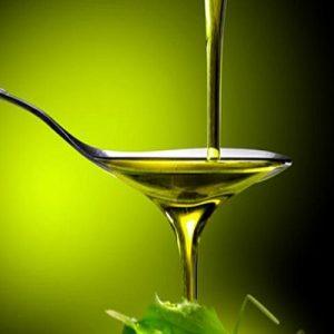 Ελαιόλαδο: Τι δίχασε τους παραγωγούς τη φετινή σεζόν – Πιέσεις και προκλήσεις