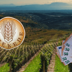 Farm Subsidies Scandal Generates Court Cases; Finger-Pointing