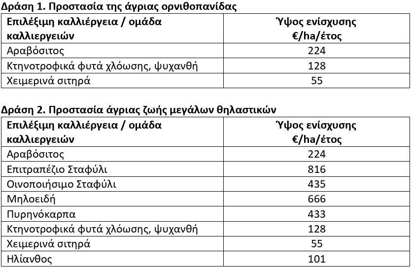 ΚΑΠ