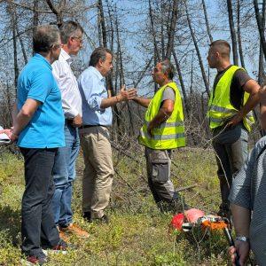 ΥΠΕΝ: Η προστασία των δασών δεν πρέπει να γίνεται πεδίο μικροπολιτικής εκμετάλλευσης