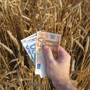 Μέτρο 23: Παρατείνεται η υποβολή αιτήσεων – Ποια νέα καλλιέργεια εντάσσεται