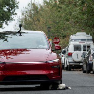 Tesla: Εχασε αγωγή για δυστύχημα με Autopilot – Θα πληρώσει 243 εκατ. δολ.