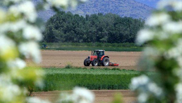 Αγροτική ανάπτυξη: Πώς χάθηκε το στοίχημα – Η αιμορραγία από το σκάνδαλο του ΟΠΕΚΕΠΕ