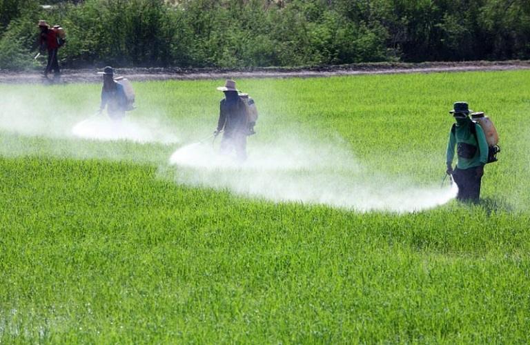 φυτοφάρμακα