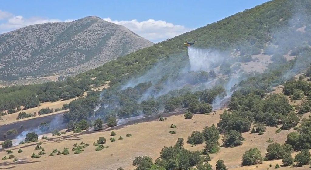 Κοζάνη: Σύλληψη 75χρόνου για τη φωτιά στο Δρέπανο
